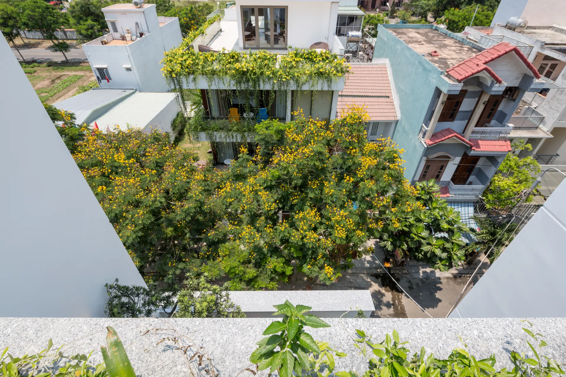 Green Heaven Villa By My Khe Beach 51